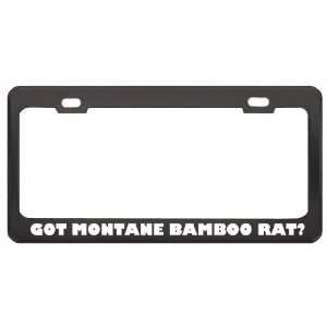 Got Montane Bamboo Rat? Animals Pets Black Metal License Plate Frame 