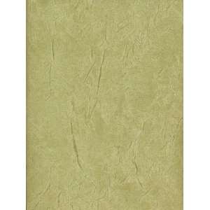   Wallpaper Seabrook Wallcovering Modern Faux FX81204