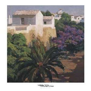  Jardin Mediterraneo   Poster by Poch Romeu (39.38x41 