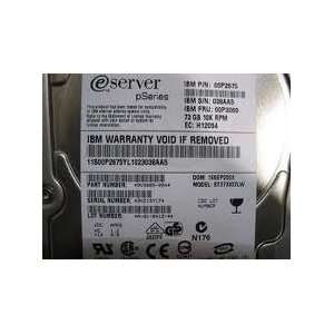  IBM 21H7313 IBM 9406 6607 4GB HDD IN CANISTER