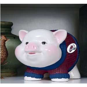  Piggy Bank Avalanche