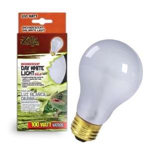  DAY WHITE LIGHT INCANDESCENT BULB BOXED
