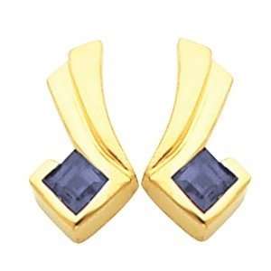  14K Yellow Gold Iolite Earrings Jewelry