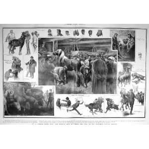  1908 LONDON HORSE FAIR ISLINGTON CATTLE MARKET PONIES 