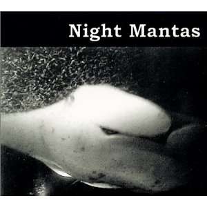 Night Mantas [VHS] Judy Brown Movies & TV