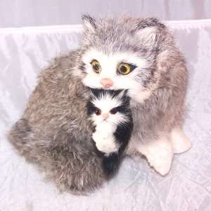  Grey Cat Holding Kitten in Mouth 