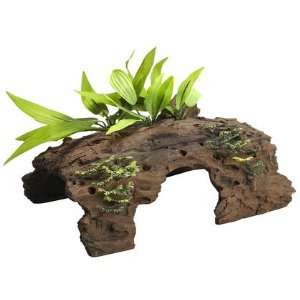  Naturals Malaysian 1/2 Log Driftwood with Plants (Quantity 