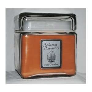  Snickerdoodle 28 oz. Square Jar Candle