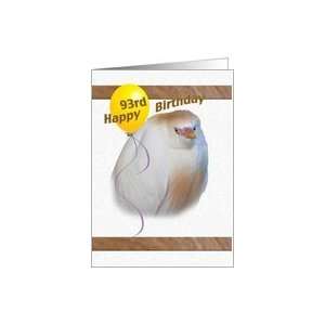  93rd Birthday Card with Cattle Egret Card Toys & Games