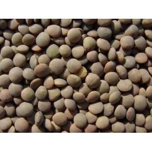 Lentils 3 Lbs, All Natural Grocery & Gourmet Food