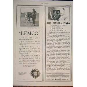  Lemco Hereford Bull Pianola Piano Advert Print 1906