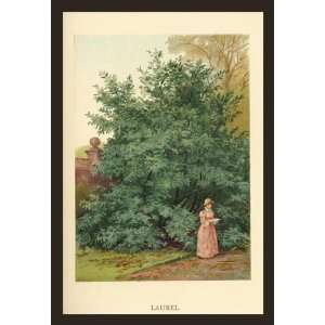    Exclusive By Buyenlarge Laurel 20x30 poster