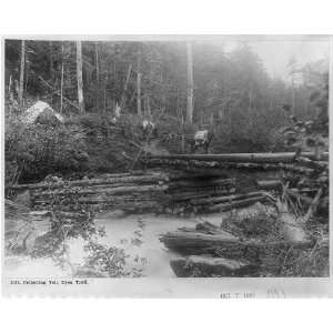    Collecting toll,Dyea Trail,1897,Gold Rush Klondike