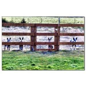    Gang by fence line Pets Mini Poster Print by  