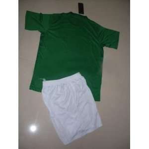  2011 2012 quality embroidery logo werder bremen home soccer jersey 