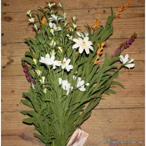  Daisy Flower Bush