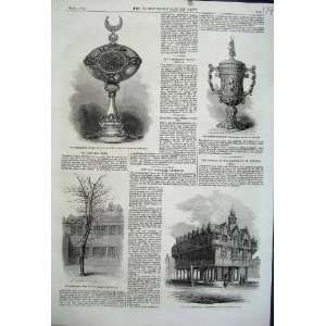   1861 Townhall Hereford Cup Mappin Sultan Turkey Tree
