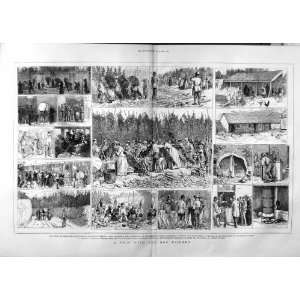   1874 Hop Pickers Farming Industry Houses Sheds Print