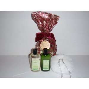   Eucalyptus Spearmint Gift Bag containing lotion, body wash and foam