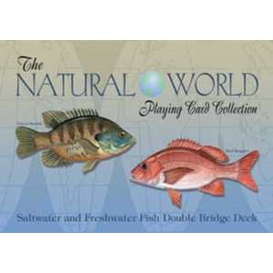  Natural World Saltwater and Freshwater Fish Toys & Games