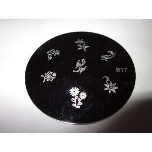  Stamping Nail Art Image Plate   B17 Beauty