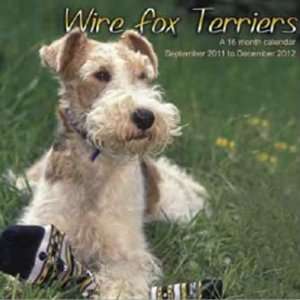  Wire Fox Terriers 2012 Wall Calendar 12 X 12 Office 
