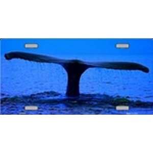  Whale Tail license plates plate tag tags auto vehicle car 