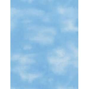  Sky Blue Wallpaper in Brothers and Sisters