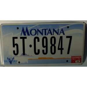    Montana Big Sky Non Embossed Flat License Plate 