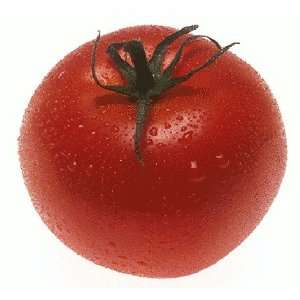  Tomato Soy Fragrance Oil Candle 16oz 