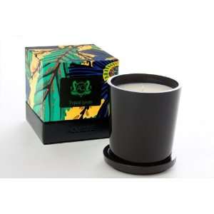  Aquiesse Tropical Leaves Scented Candle