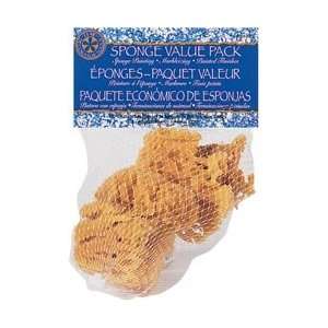  Plaid Sponge Value Pack 4/Pkg 30149; 3 Items/Order Arts 