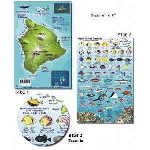  Big Island Hawaii Fish and Creature Guide Sports 