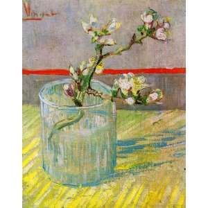  Blossoming Almond Branch in a Glass