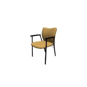  National Mix It Ultraleather Side Chair, Chamois (Beige 