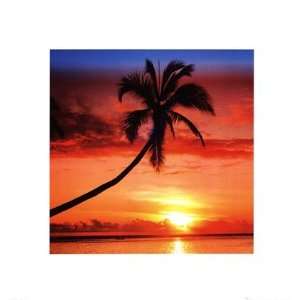  Sunset   Palm Tree by Unknown 16x16