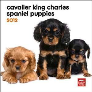   King Charles Spaniel Puppies 2012 Mini Wall Calendar