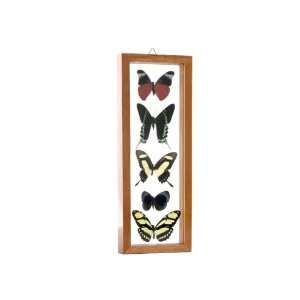  Multi Color Butterflies on Wood Frame 