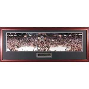 Detroit Red Wings   2002 Stanley Cup Celebration   Framed Unsigned 