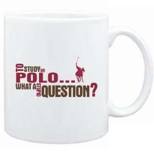  New  To Study Or Polo  What A Stupid Question ?  Mug 
