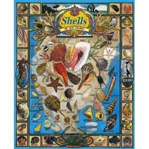  New White Mountain Puzzles Shells Of Our Shores 1000 Piece 