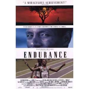  Endurance Movie Poster (11 x 17 Inches   28cm x 44cm 