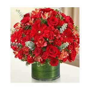      Flowers by 1800Flowers   Cherished Memories   All Red   Large