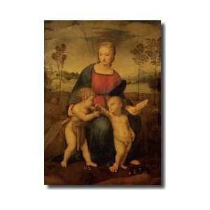 Madonna Of The Goldfinch C1506 Giclee Print 