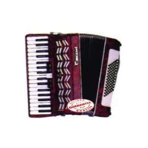  Parrot Piano Accordion 72 Bass 34 Keys T5004 Musical 
