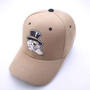  Wake Forest Demon Deacons Team Logo Mascot Fitted Hat 