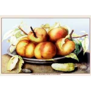 Dish of Peaches with a Cucumber   Poster by Giovanni Garzoni (18x12)