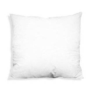 22x22 15 Oz Polyester Throw Pillow Insert Fit for 18 20 Pillow Cover 