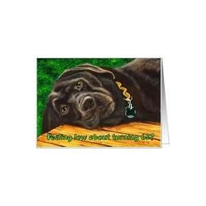  Funny Birthday ~ 62 Years Old ~ Labrador Dog Card Toys 