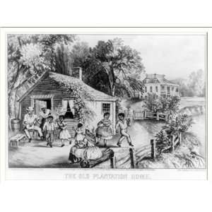  Historic Print (M) The old plantation home